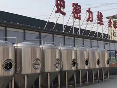 东方精酿啤酒设备厂—市场规模与跨界新需求
